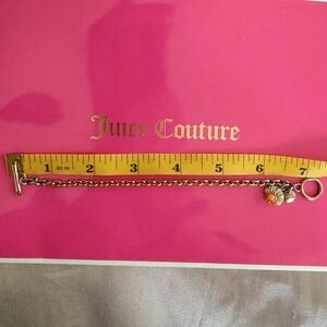 Vintage Juicy Country Seashell Mini Toggle